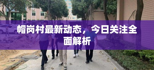 帽岗村最新动态，今日关注全面解析