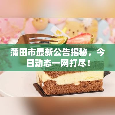 蒲田市最新公告揭秘，今日动态一网打尽！