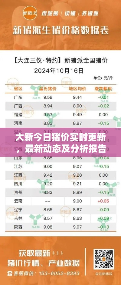 大新今日猪价实时更新，最新动态及分析报告