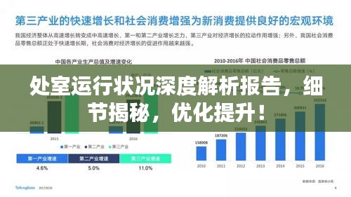 处室运行状况深度解析报告，细节揭秘，优化提升！