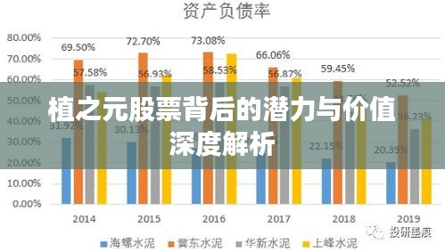 植之元股票背后的潜力与价值深度解析