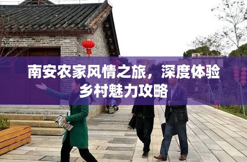 南安农家风情之旅，深度体验乡村魅力攻略