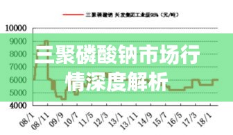 三聚磷酸钠市场行情深度解析