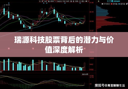 瑞源科技股票背后的潜力与价值深度解析