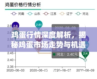 鸡蛋行情深度解析，揭秘鸡蛋市场走势与机遇