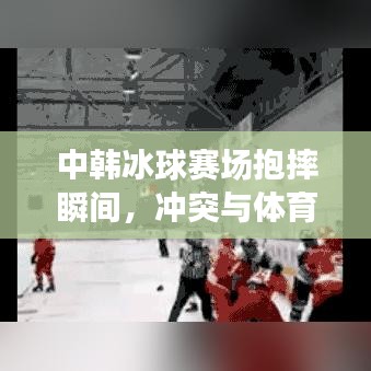 中韩冰球赛场抱摔瞬间，冲突与体育精神的碰撞