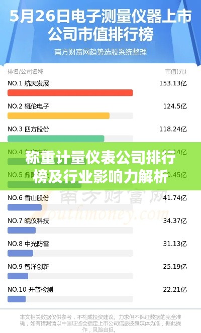 称重计量仪表公司排行榜及行业影响力解析