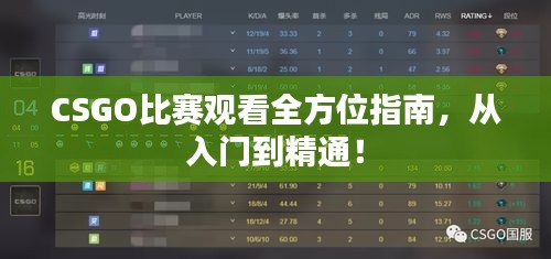 CSGO比赛观看全方位指南，从入门到精通！