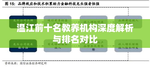 温江前十名教养机构深度解析与排名对比