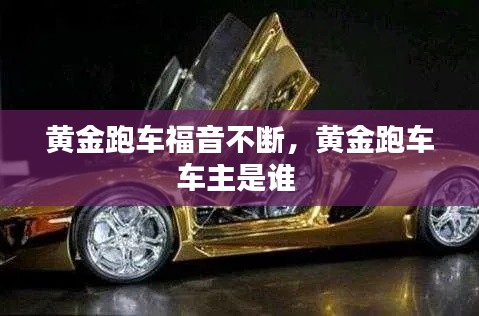 黄金跑车福音不断，黄金跑车车主是谁 