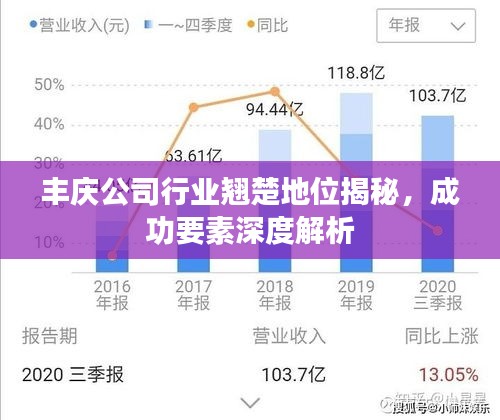 丰庆公司行业翘楚地位揭秘，成功要素深度解析