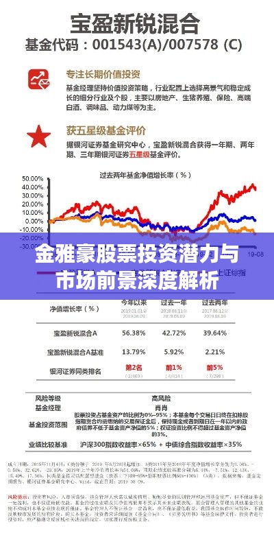 金雅豪股票投资潜力与市场前景深度解析