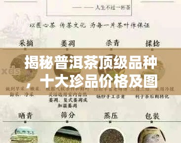 揭秘普洱茶顶级品种，十大珍品价格及图片全攻略，领略中国茶文化魅力