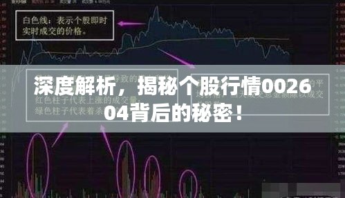 深度解析，揭秘个股行情002604背后的秘密！