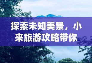 2025年2月16日 第5页