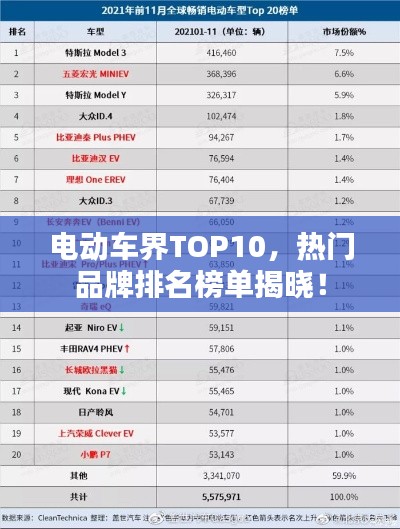 电动车界TOP10，热门品牌排名榜单揭晓！