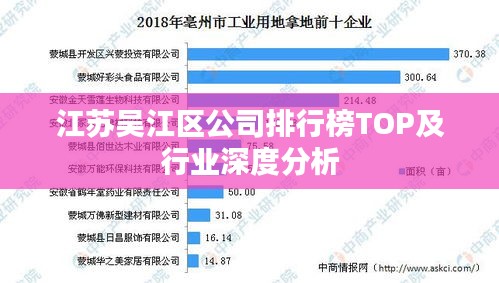 江苏吴江区公司排行榜TOP及行业深度分析