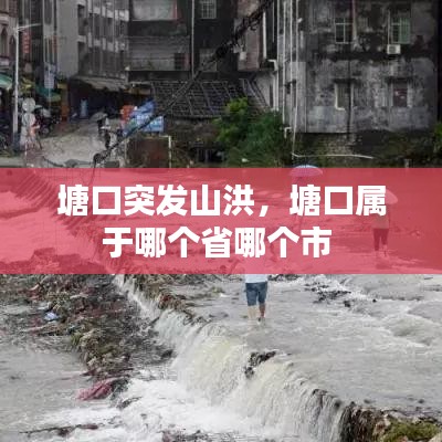 塘口突发山洪，塘口属于哪个省哪个市 