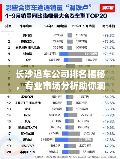 长沙追车公司排名揭秘，专业市场分析助你洞悉行业趋势