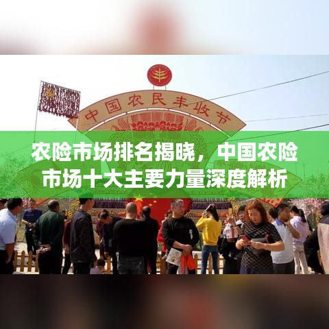 农险市场排名揭晓，中国农险市场十大主要力量深度解析