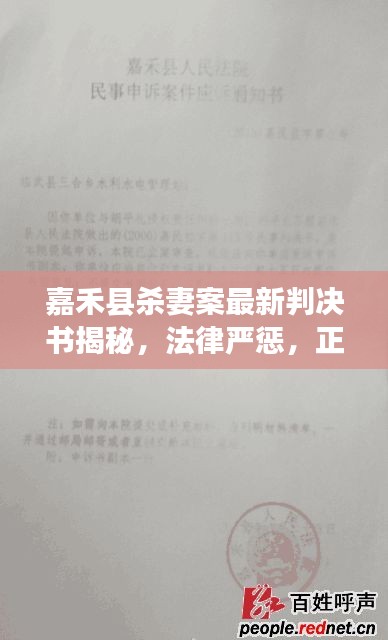 嘉禾县杀妻案最新判决书揭秘，法律严惩，正义彰显