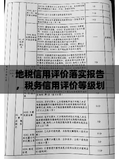 地税信用评价落实报告，税务信用评价等级划分 