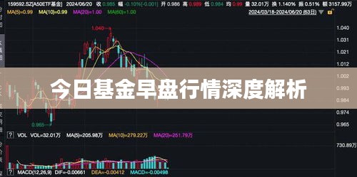 今日基金早盘行情深度解析