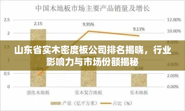 山东省实木密度板公司排名揭晓，行业影响力与市场份额揭秘