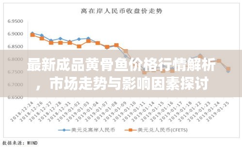 最新成品黄骨鱼价格行情解析，市场走势与影响因素探讨