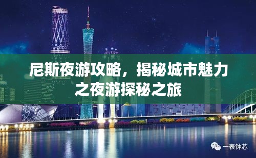 尼斯夜游攻略，揭秘城市魅力之夜游探秘之旅