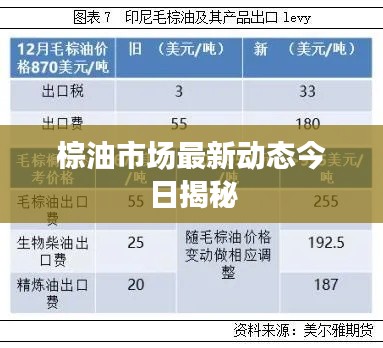 棕油市场最新动态今日揭秘