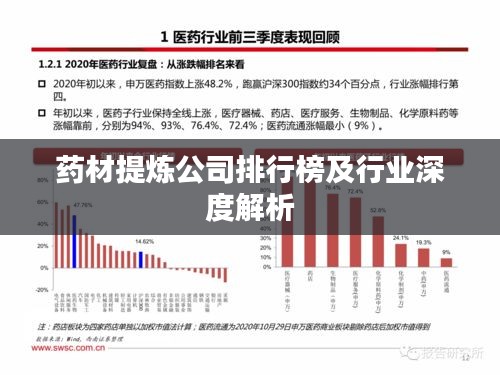 药材提炼公司排行榜及行业深度解析