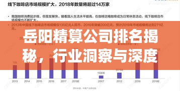 岳阳精算公司排名揭秘，行业洞察与深度分析