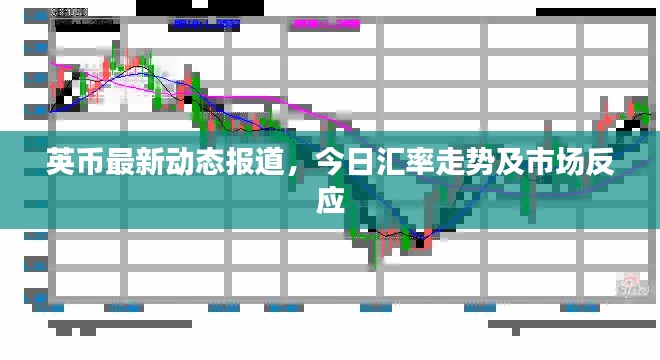 英币最新动态报道，今日汇率走势及市场反应