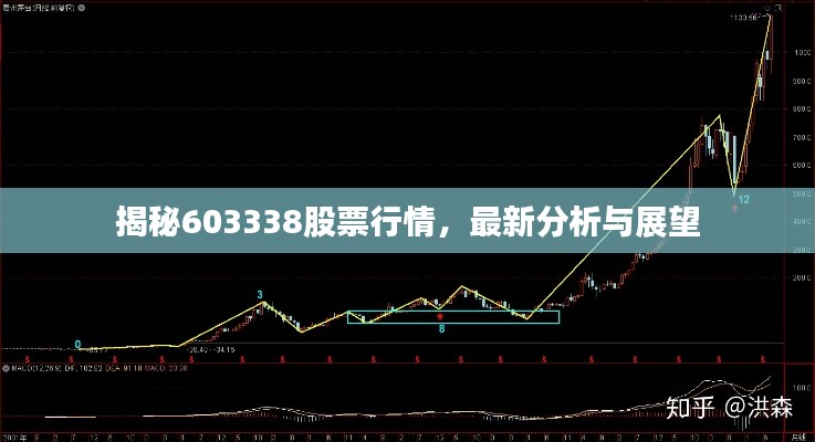 揭秘603338股票行情，最新分析与展望