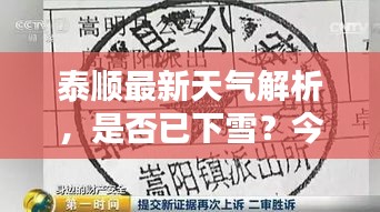 泰顺最新天气解析，是否已下雪？今日天气情况全知晓