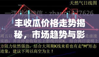 丰收瓜价格走势揭秘，市场趋势与影响因素深度剖析