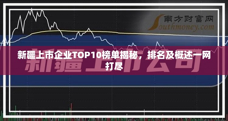 新疆上市企业TOP10榜单揭秘，排名及概述一网打尽