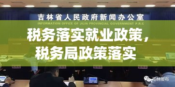 税务落实就业政策，税务局政策落实 