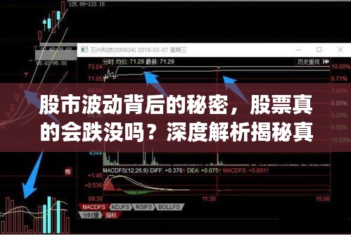 股市波动背后的秘密，股票真的会跌没吗？深度解析揭秘真相
