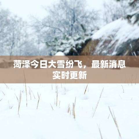 菏泽今日大雪纷飞，最新消息实时更新