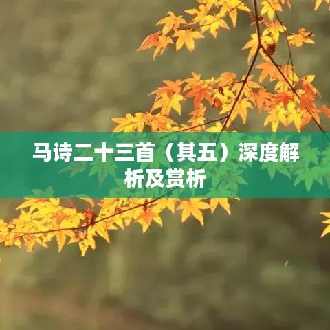 马诗二十三首（其五）深度解析及赏析