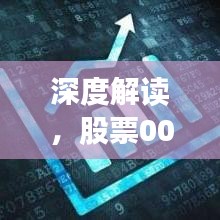 深度解读，股票002130的全方位分析