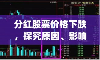 分红股票价格下跌，探究原因、影响及应对策略