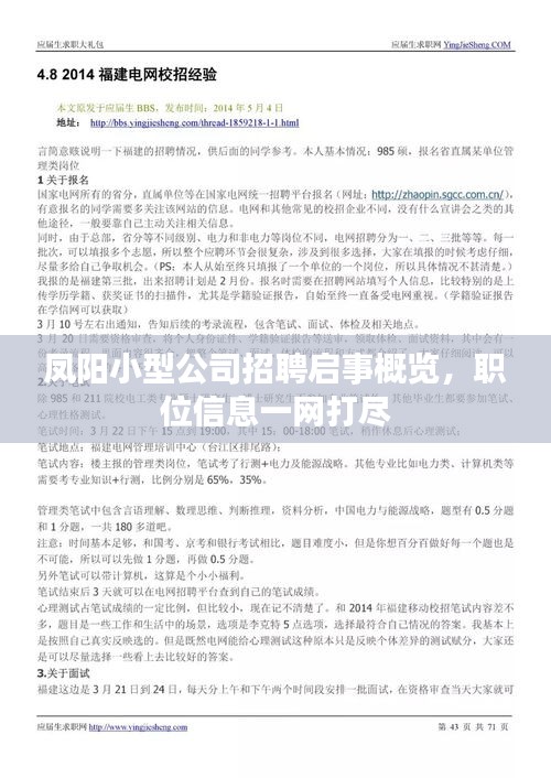 凤阳小型公司招聘启事概览，职位信息一网打尽