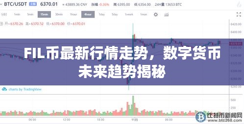 FIL币最新行情走势，数字货币未来趋势揭秘
