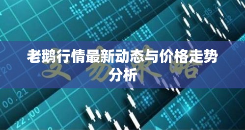 老鹅行情最新动态与价格走势分析