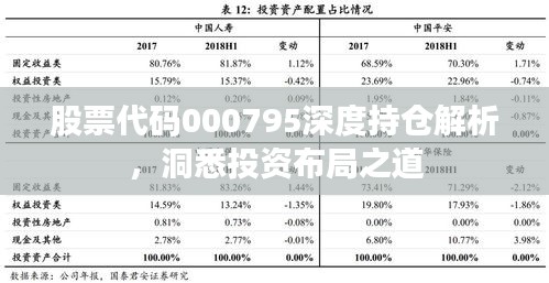 股票代码000795深度持仓解析，洞悉投资布局之道