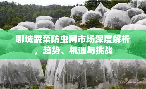 聊城蔬菜防虫网市场深度解析，趋势、机遇与挑战