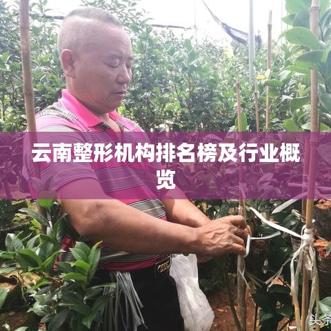 云南整形机构排名榜及行业概览